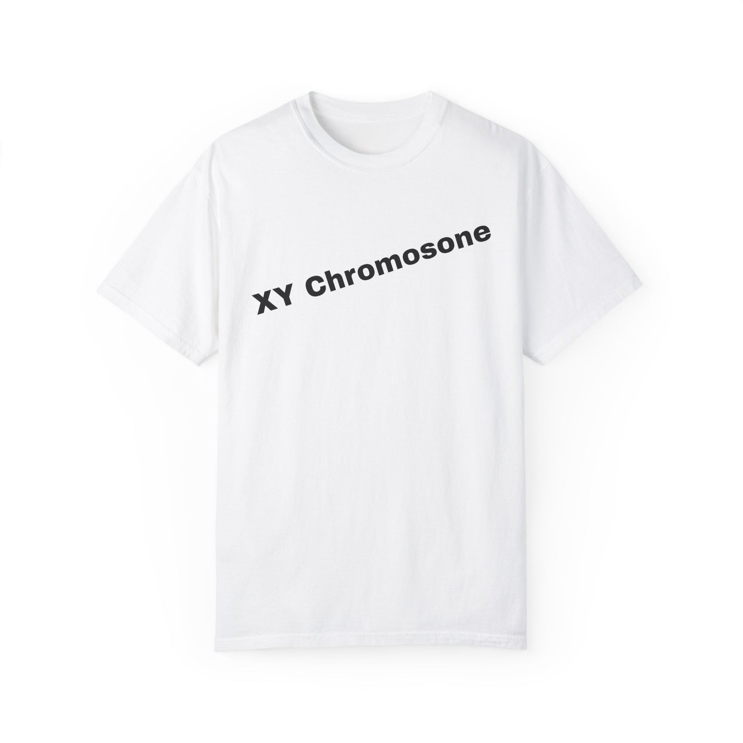 "X Y Chromosome"